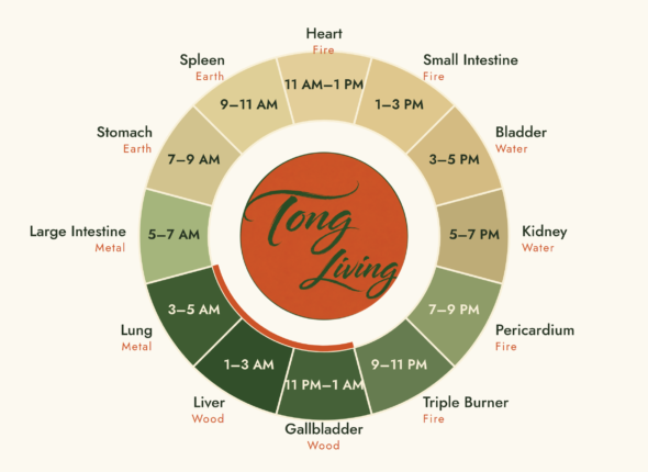 The Tong Living body clock: twelve two-hour windows around a circle, each named for the organ system Chinese medicine associates with it.