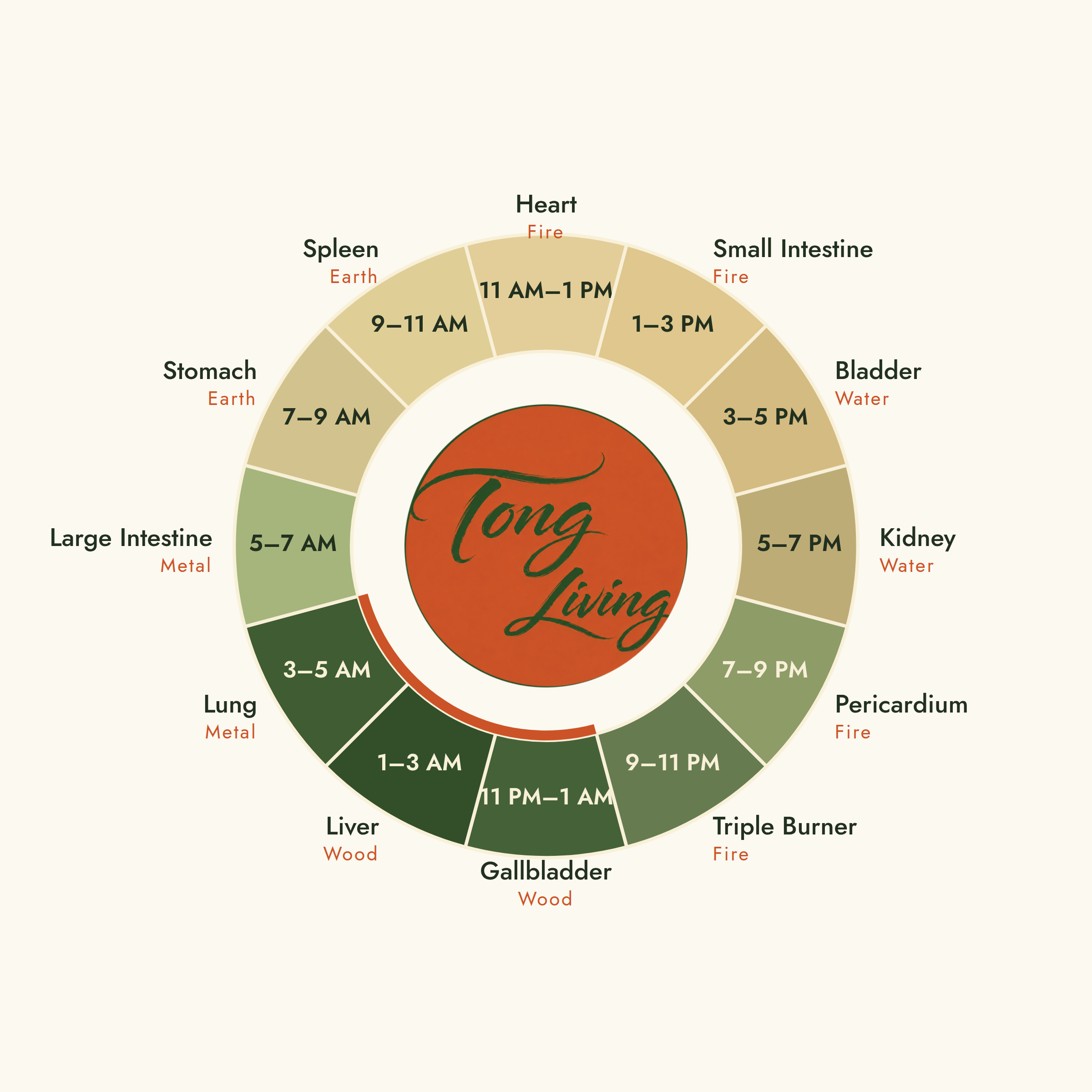 The Tong Living body clock: twelve two-hour windows around a circle, each named for the organ system Chinese medicine associates with it.